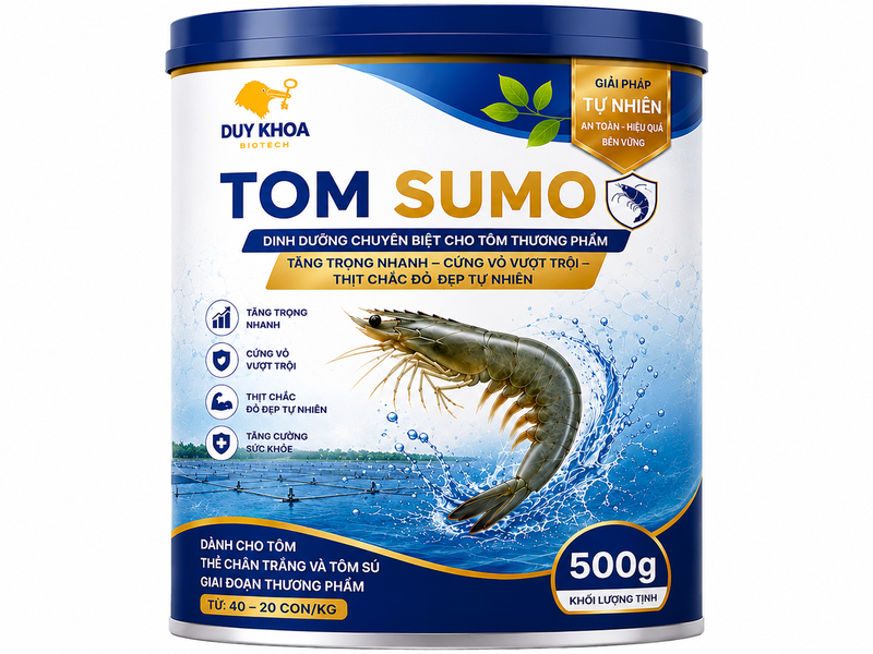 Tom Sumo