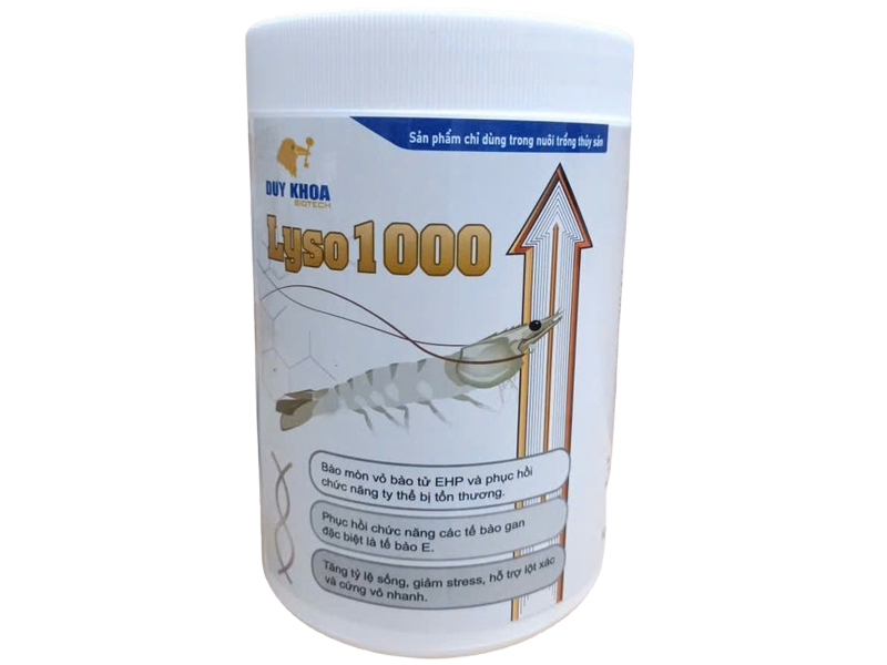 Lyso 1000