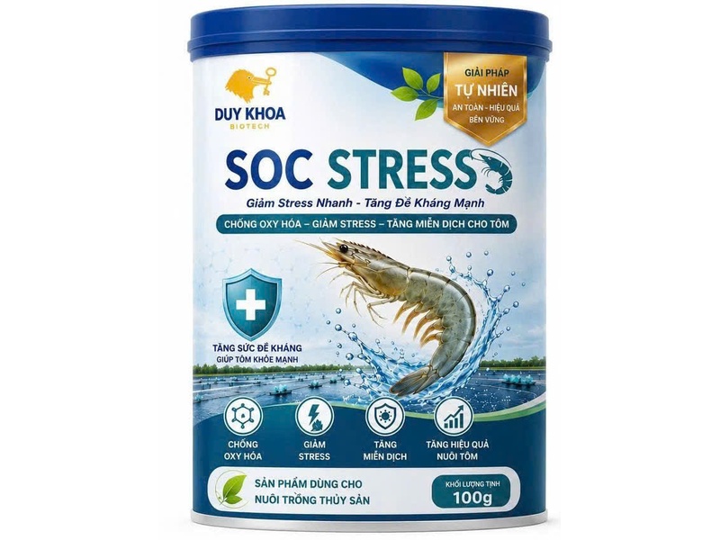 SOCSTRESS
