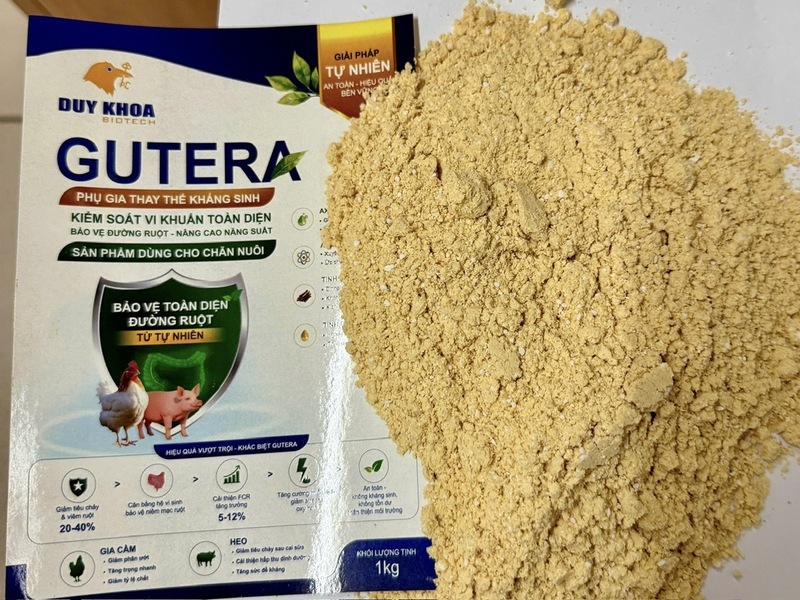 Gutera